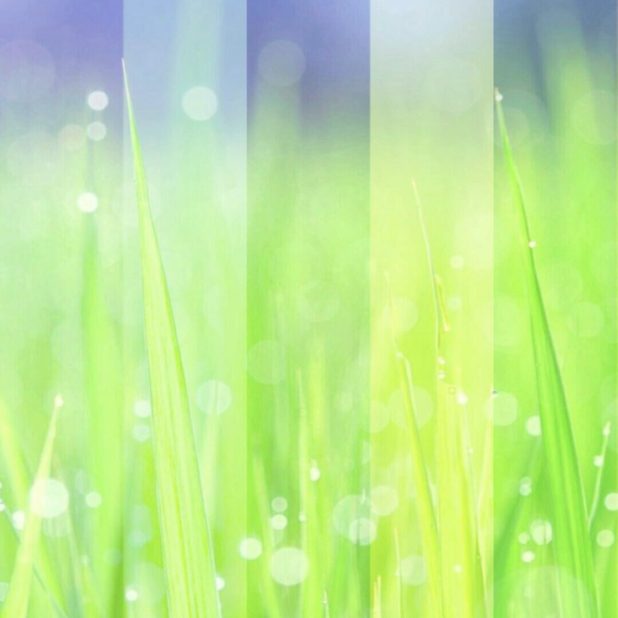 Grassy fantastic iPhone8Plus Wallpaper