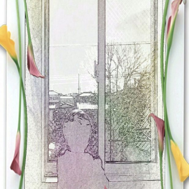 boy window side iPhone8Plus Wallpaper