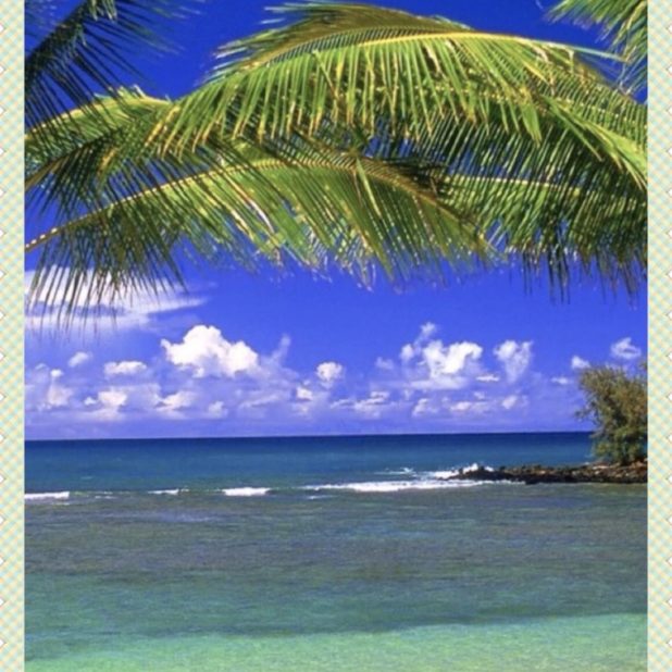 Beach Resort iPhone8Plus Wallpaper