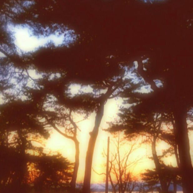 Evening landscape seaside iPhone8Plus Wallpaper