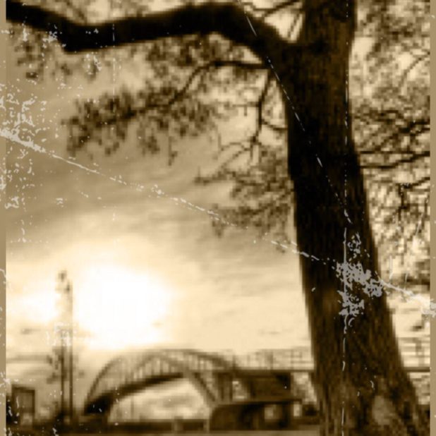 Bridge Landscape iPhone8Plus Wallpaper