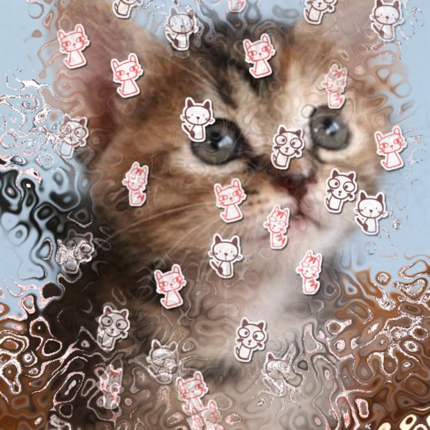 glass cat iPhone8Plus Wallpaper