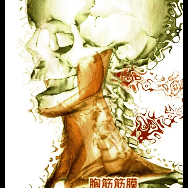 Skull frame iPhone8Plus Wallpaper