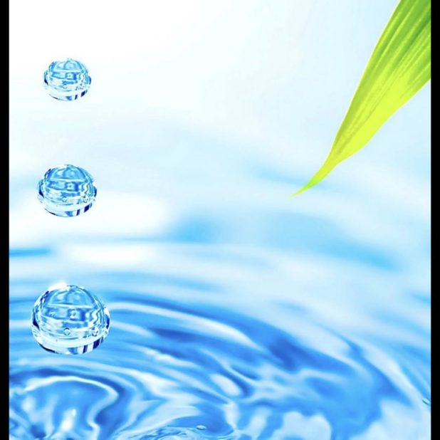 Waterdrop Leaves iPhone8Plus Wallpaper