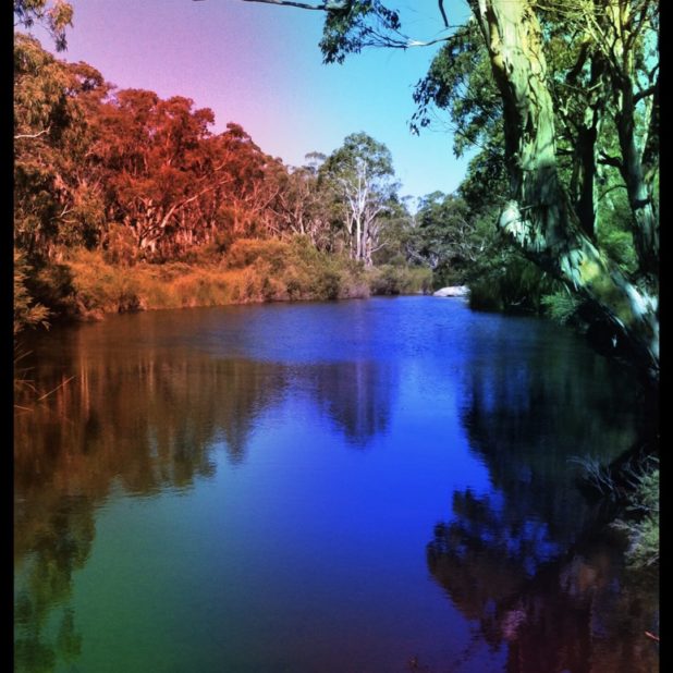 River nature iPhone8Plus Wallpaper