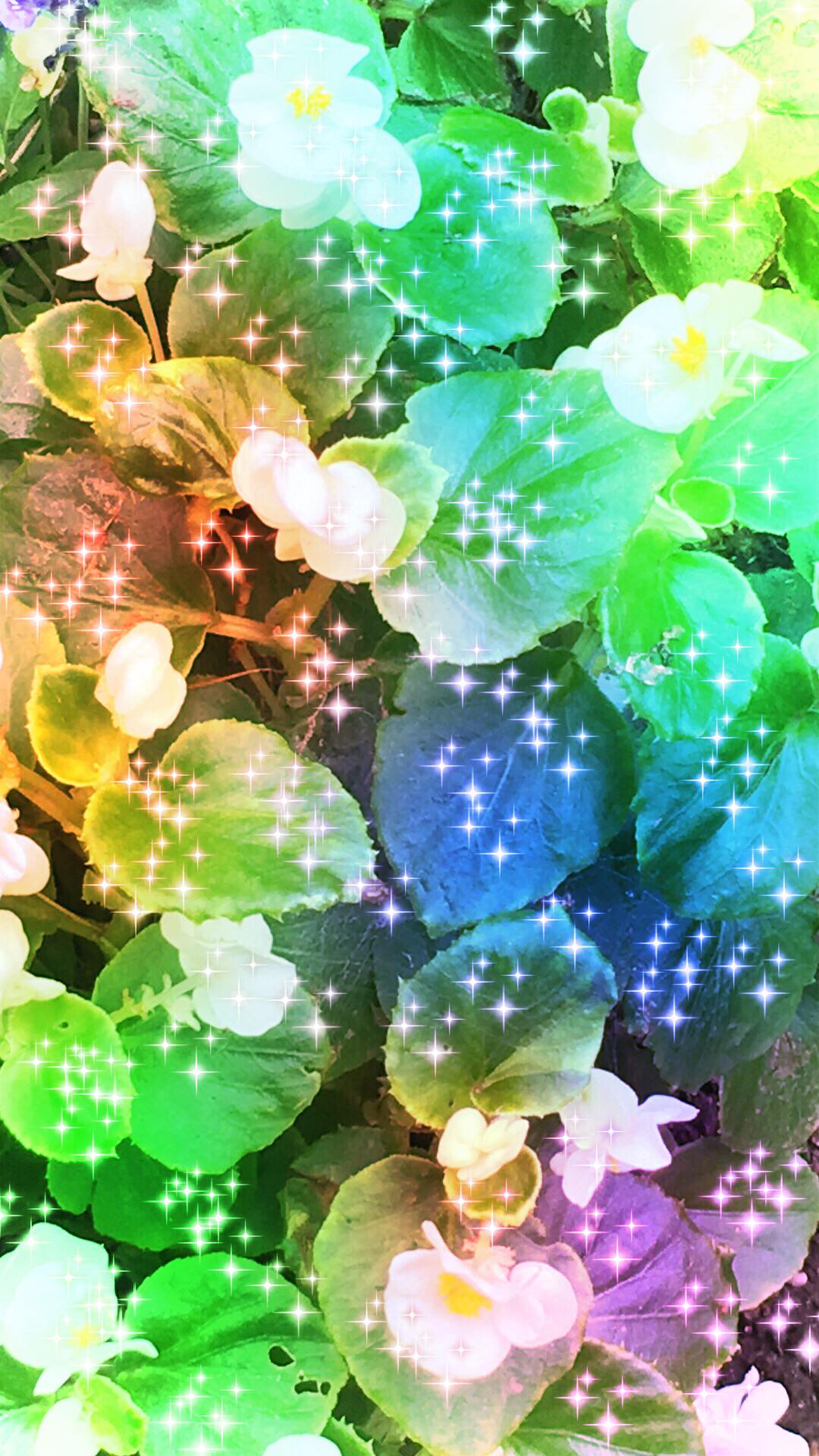 Flower light | wallpaper.sc iPhone8Plus