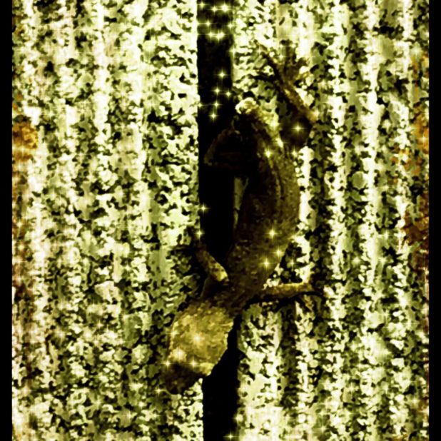 Lizard Sepia iPhone8Plus Wallpaper