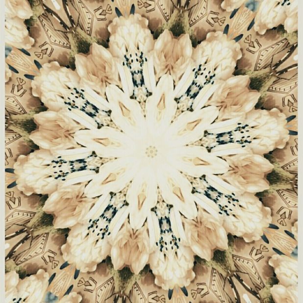 Floral design iPhone8Plus Wallpaper