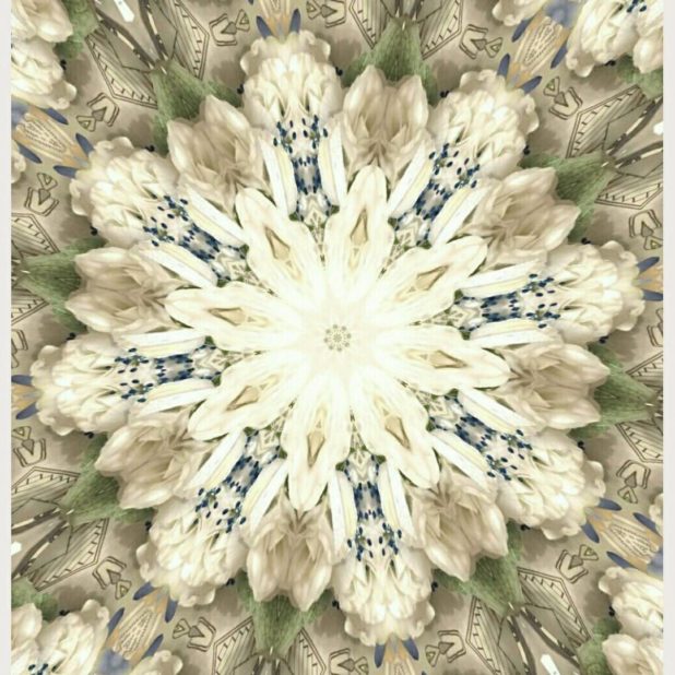 Flower card iPhone8Plus Wallpaper