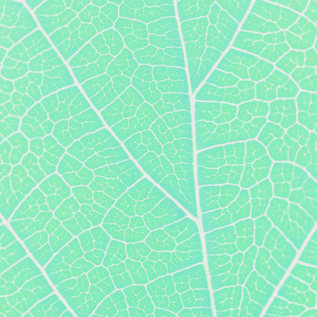 Pattern vein Blue green iPhone8Plus Wallpaper