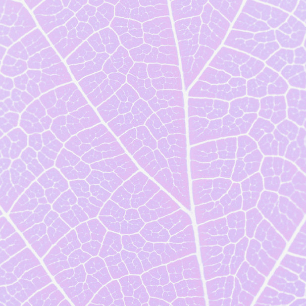 Pattern vein Purple iPhone8Plus Wallpaper