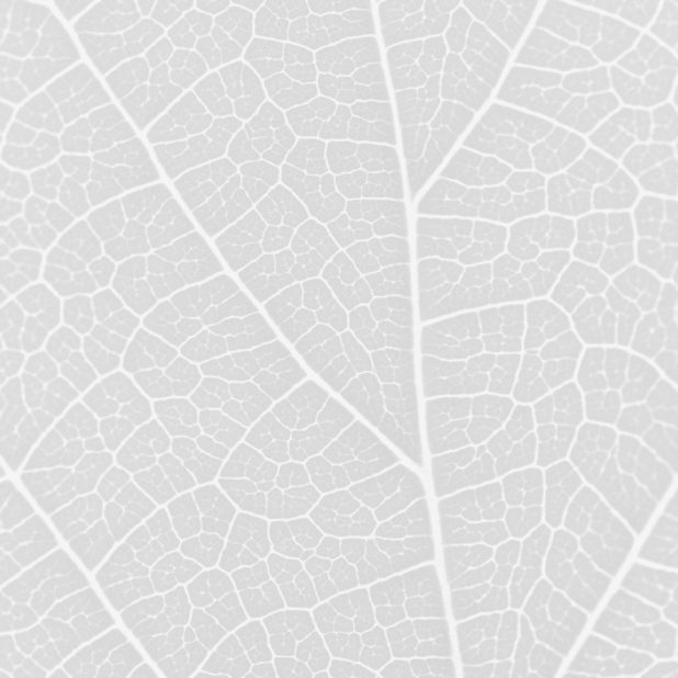 Pattern vein Gray iPhone8Plus Wallpaper