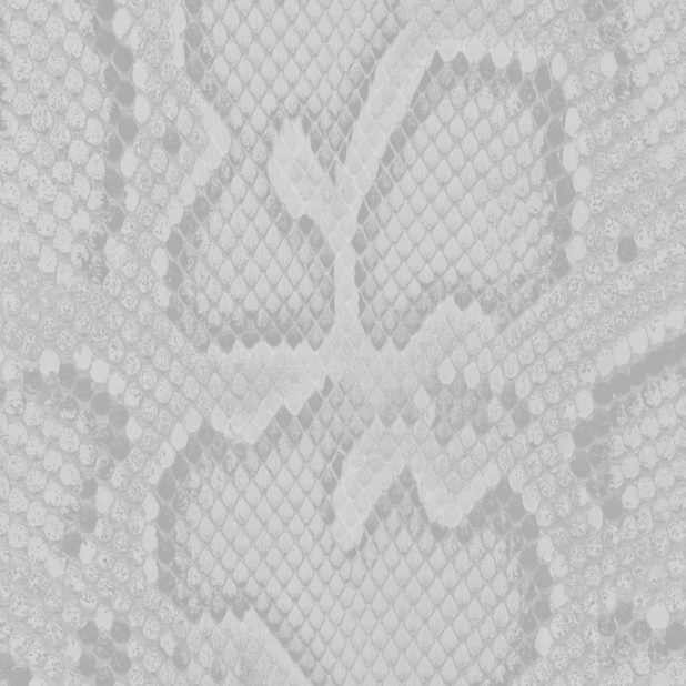 Python pattern Gray iPhone8Plus Wallpaper