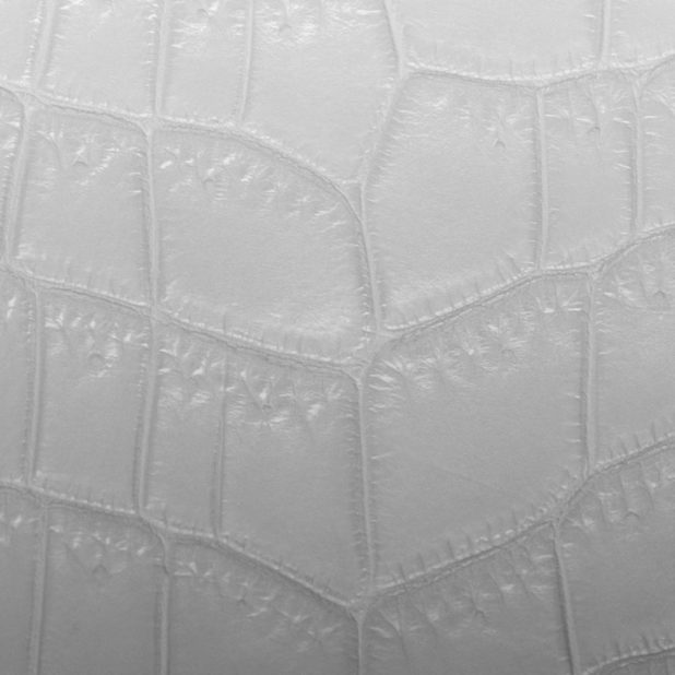 Leaf vein gradation Gray iPhone8Plus Wallpaper
