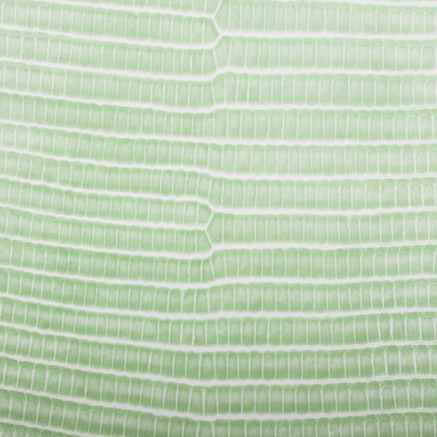 Leaf vein gradation Yellow green iPhone8Plus Wallpaper