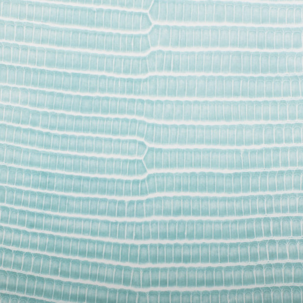 Leaf vein gradation light blue iPhone8Plus Wallpaper