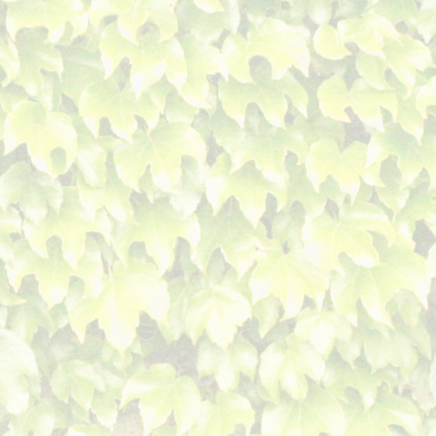 Leaf pattern yellow iPhone8Plus Wallpaper
