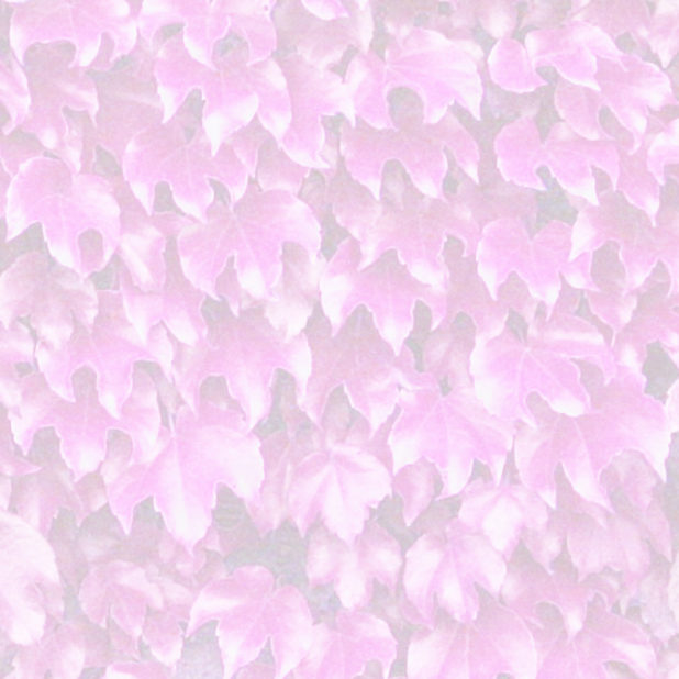 Leaf pattern Pink iPhone8Plus Wallpaper