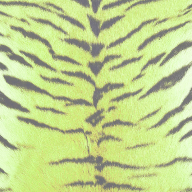 Fur pattern tiger Yellow green iPhone8Plus Wallpaper
