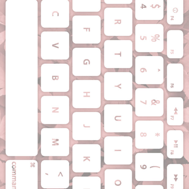 Leaf keyboard Orange white iPhone8Plus Wallpaper