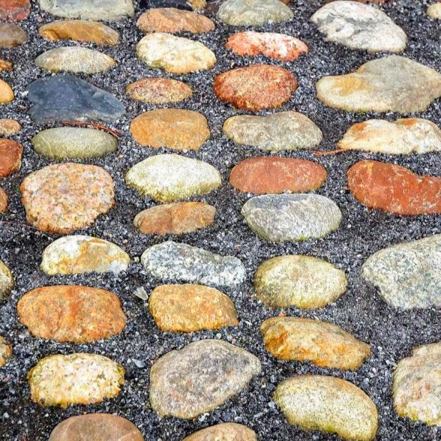 Landscape stone pavement iPhone8Plus Wallpaper
