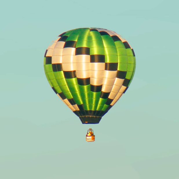 Landscape balloon iPhone8Plus Wallpaper