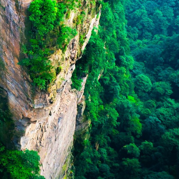 mountain mori green landscape iPhone8Plus Wallpaper
