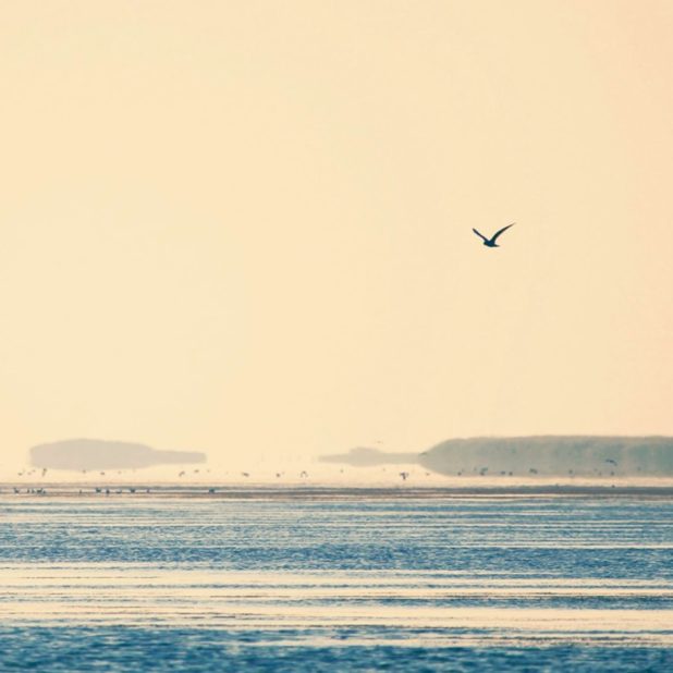 Air-sea landscape iPhone8Plus Wallpaper