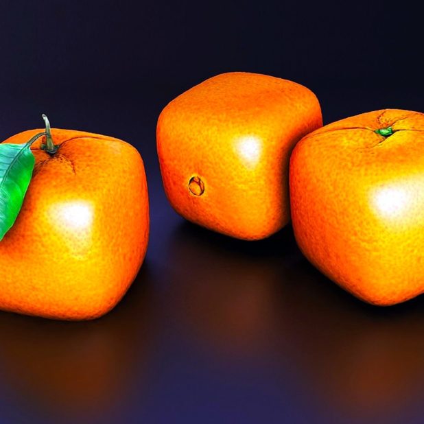 Mandarin fruit iPhone8Plus Wallpaper