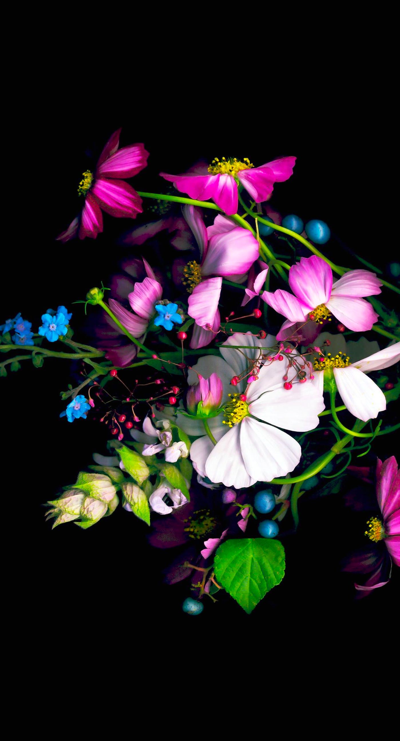 Colorful flower black | wallpaper.sc iPhone8Plus