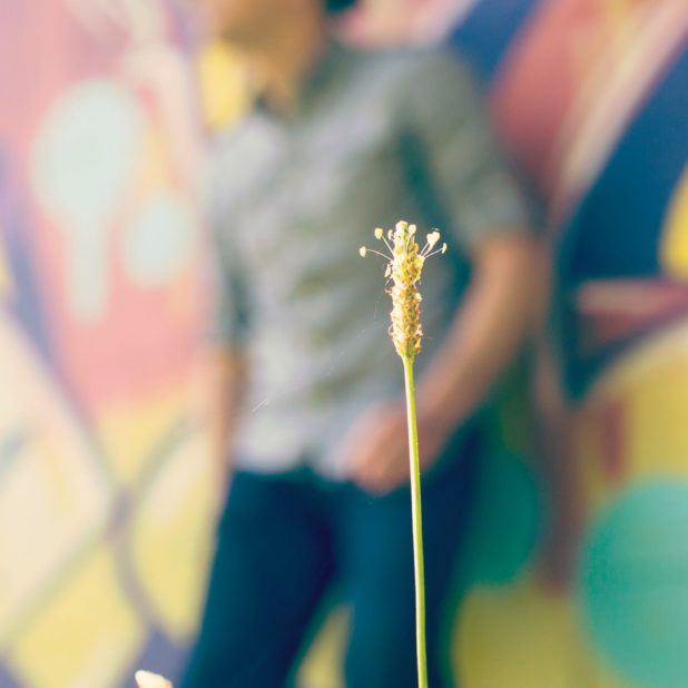 Flower blur male character iPhone8Plus Wallpaper