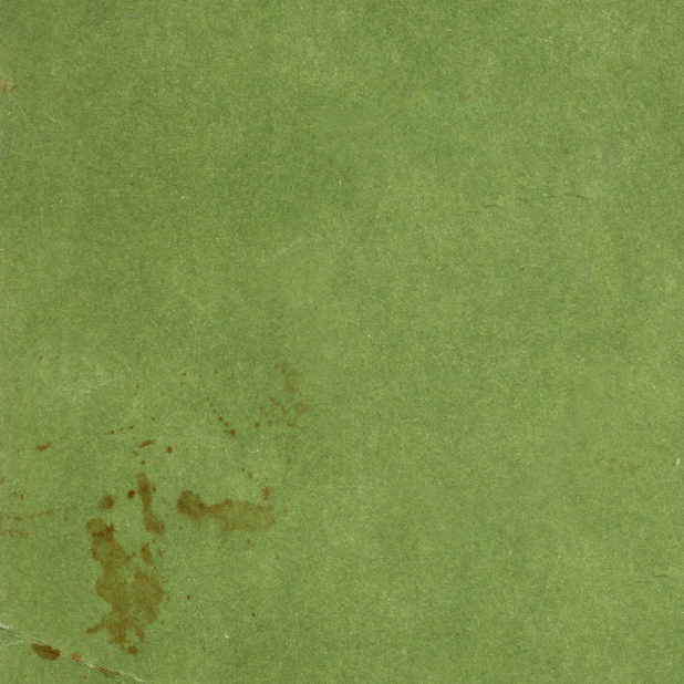 Waste paper green wrinkle iPhone8Plus Wallpaper