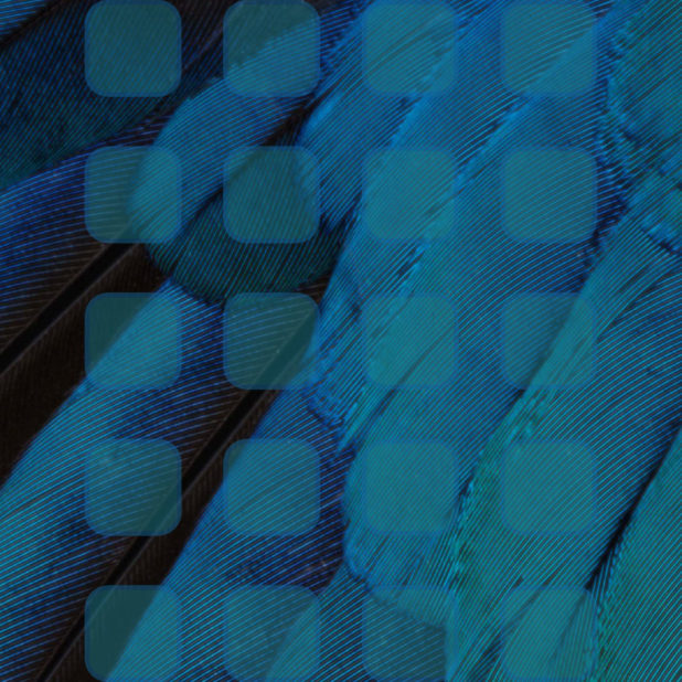 Feather blue green shelf cool iPhone8Plus Wallpaper