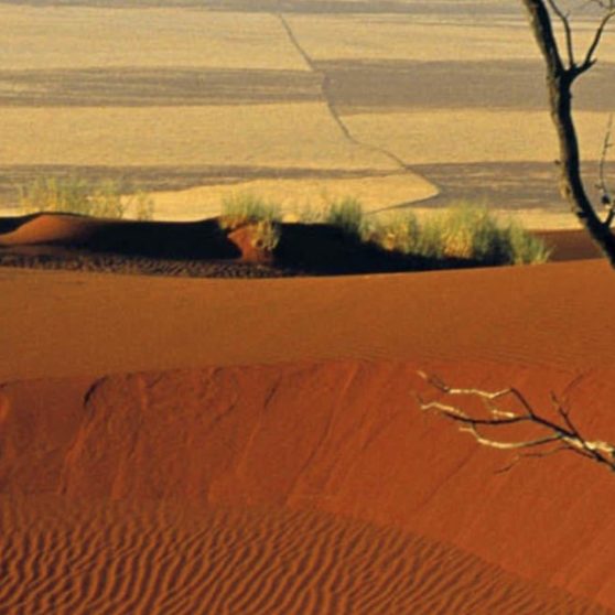 Desert landscape iPhoneX Wallpaper