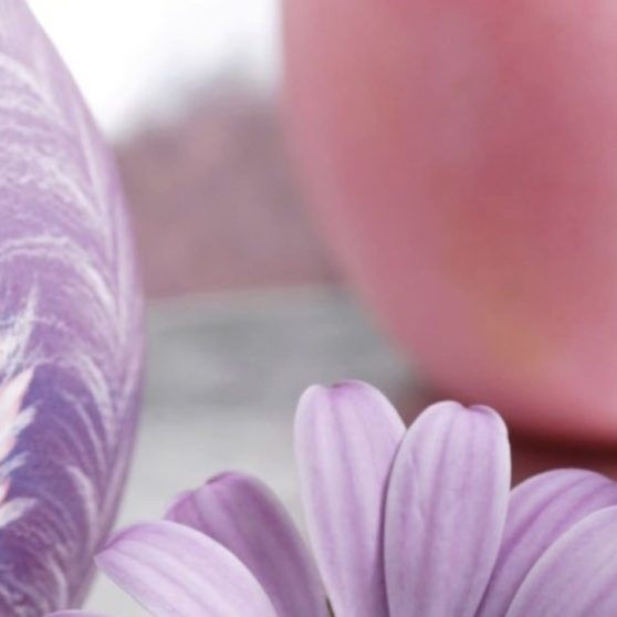 Natural flower purple iPhoneX Wallpaper