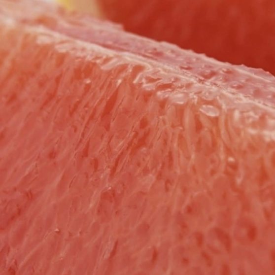 Food grapefruit iPhoneX Wallpaper
