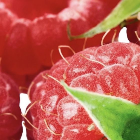 Food berry red iPhoneX Wallpaper