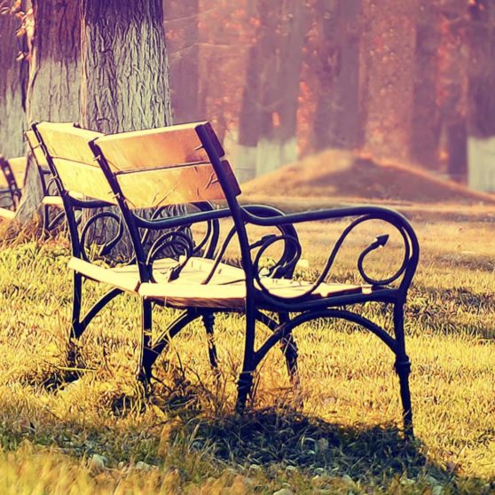 Landscape bench iPhoneX Wallpaper