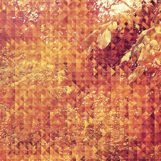 Orange pattern iPhoneX Wallpaper