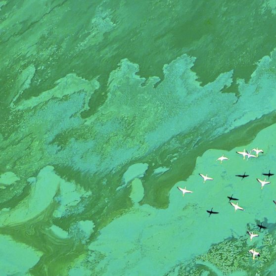 Landscape sea plane iPhoneX Wallpaper