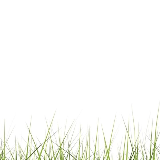 Cool lawn green iPhoneX Wallpaper