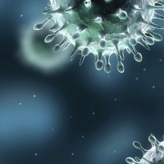 Virus spore iPhoneX Wallpaper