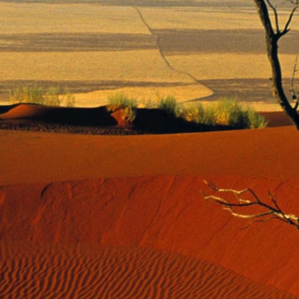 Desert landscape iPhoneXSMax Wallpaper
