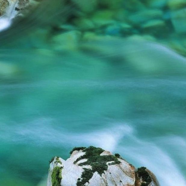 Natural river iPhoneXSMax Wallpaper