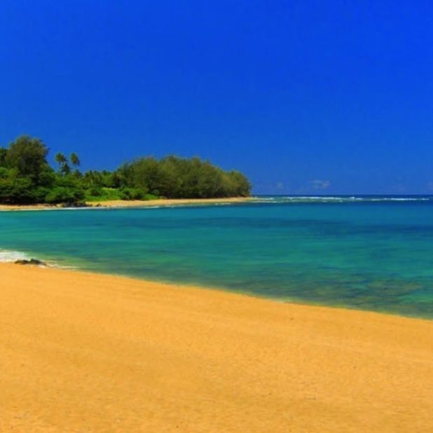 Beach landscape iPhoneXSMax Wallpaper