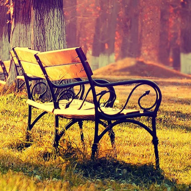 Landscape bench iPhoneXSMax Wallpaper