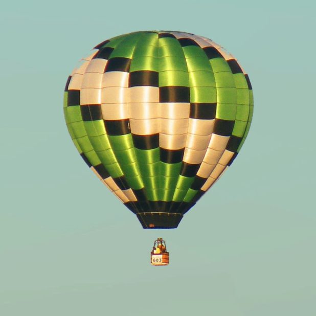 Landscape balloon iPhoneXSMax Wallpaper