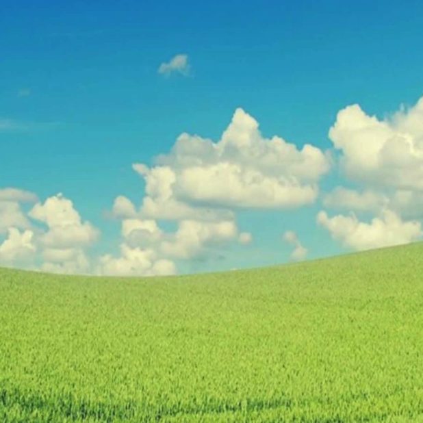 cloud sky green iPhoneXSMax Wallpaper