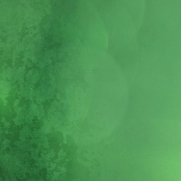 Cool green iPhoneXSMax Wallpaper