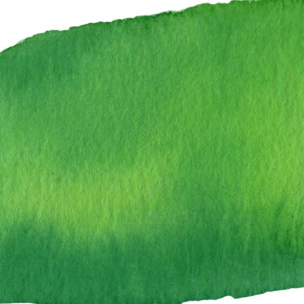Paper pattern green white iPhoneXSMax Wallpaper
